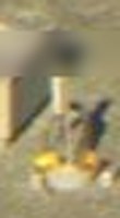 A blurred crop of Rafael