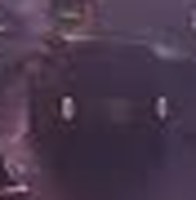 A crop of the purple hue