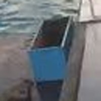 A crop of the blue bin