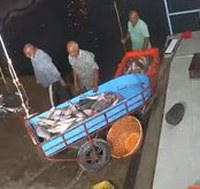 A crop of the blue cart
