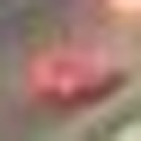 A crop of the red plate
