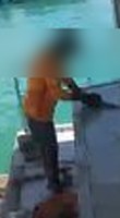 A blurred crop of Anton