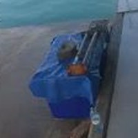 A crop of the blue tarp-covered
