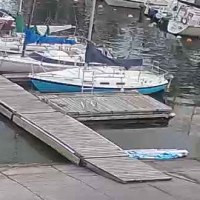 A crop of the blue paddleboard